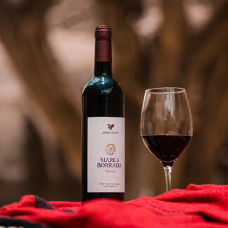 Jorge Rojas – Marca Borrada